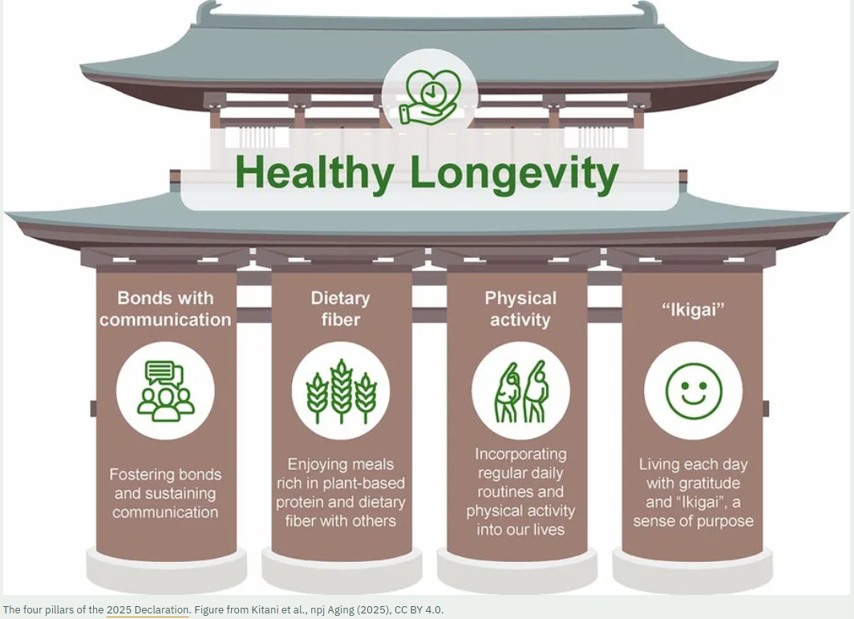 The four pillars of the 2025 Declaration. Figure from Kitani et al., npj Aging (2025), CC BY 4.0.